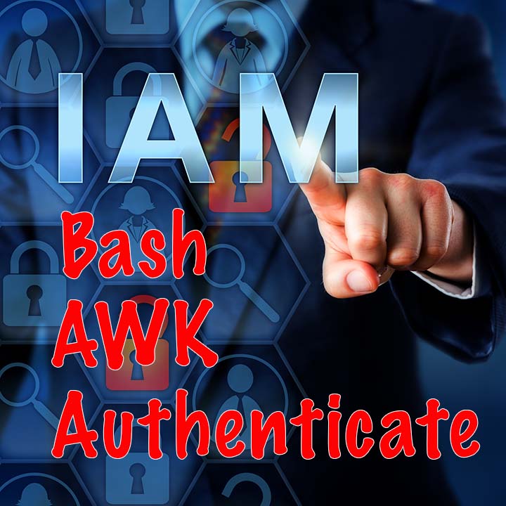 Authenticate Bash script awk